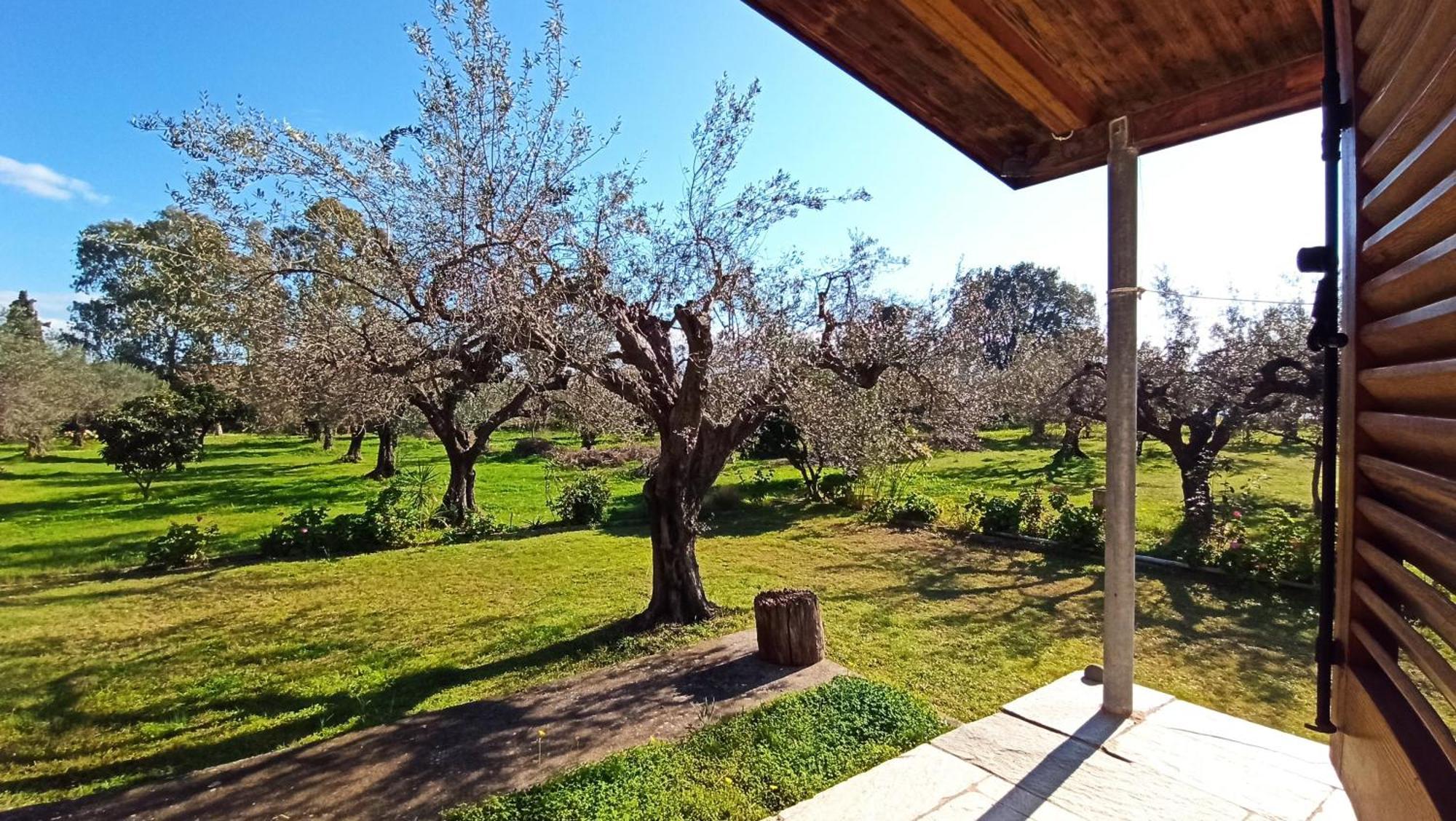 Nafpaktos Cottage By The Sea For Travelers And Dreamers! Экстерьер фото