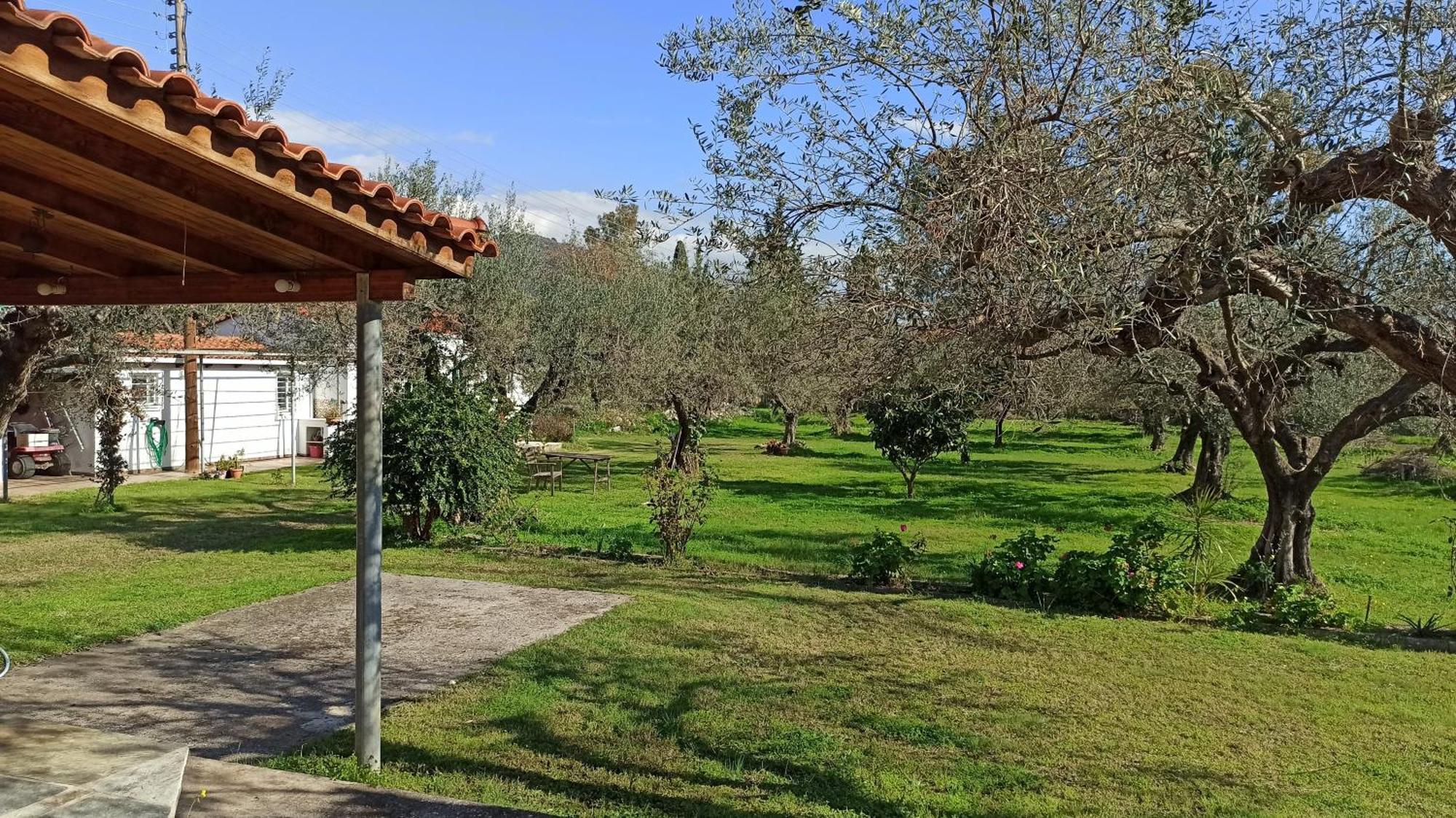 Nafpaktos Cottage By The Sea For Travelers And Dreamers! Экстерьер фото